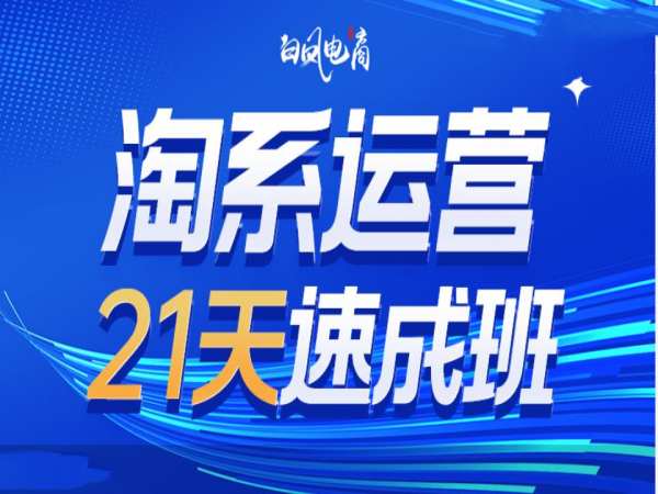 淘系运营21天速成班35期,年前最后一波和2025方向-吾爱云课堂