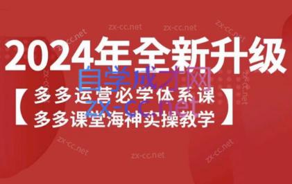 海神老师·拼多多运营必学体系课-吾爱云课堂