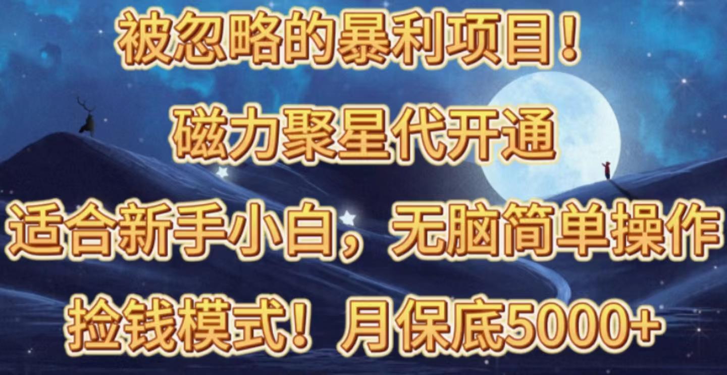 被忽略的暴利项目!磁力聚星代开通捡钱模式,轻松月入五六千-吾爱云课堂