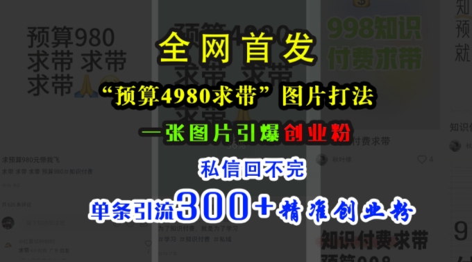 小红书“预算4980带我飞”图片打法，一张图片引爆创业粉，私信回不完，单条引流300+精准创业粉-吾爱云课堂