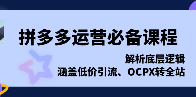 拼多多运营必备课程,解析底层逻辑,涵盖低价引流、OCPX转全站-吾爱云课堂