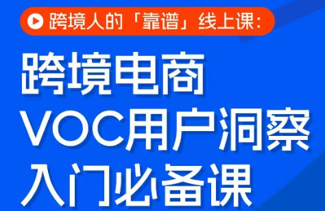 跨境电商VOC用户洞察入门必备课-吾爱云课堂