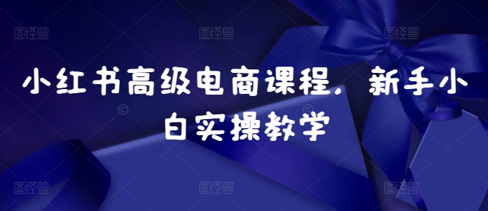 小红书高级电商课程,新手小白实操教学-吾爱云课堂