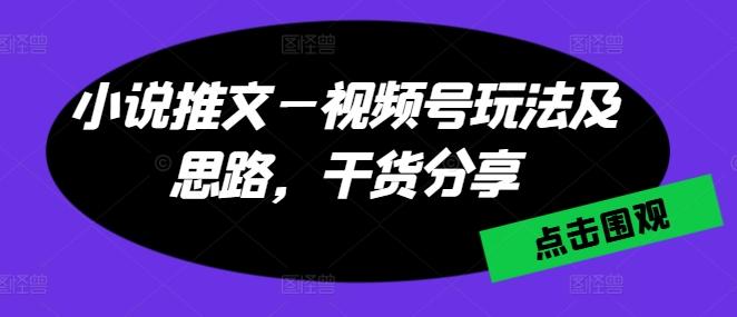 小说推文—视频号玩法及思路，干货分享-吾爱云课堂