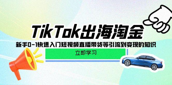 (10035期)TikTok-出海淘金,新手0-1快速入门短视频直播带货等引流到变现的知识-吾爱云课堂