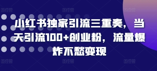 小红书独家引流三重奏,当天引流100+创业粉,流量爆炸不愁变现【揭秘】-吾爱云课堂