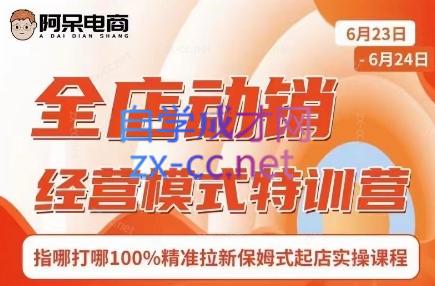 阿呆电商·全店动销经营模式特训营(线下录音+思维导图)-吾爱云课堂