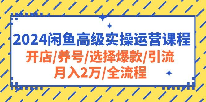 2024闲鱼高级实操运营课程:开店/养号/选择爆款/引流/月入2万/全流程-吾爱云课堂
