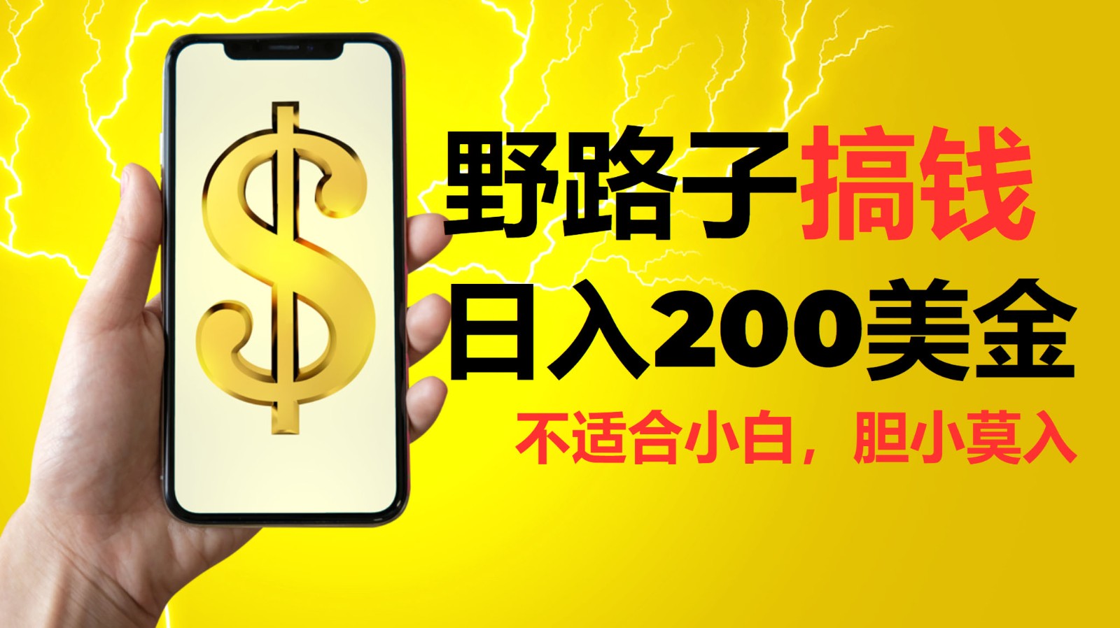 挂机野路子搞钱,日入200美金,路子很野,小白莫入-吾爱云课堂