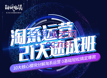 淘系运营21天速成班(更新7月)-吾爱云课堂