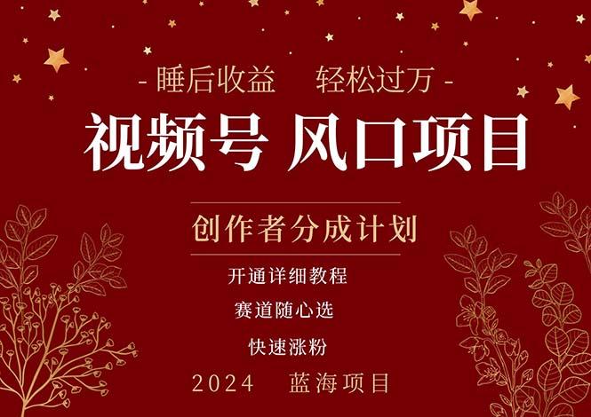 拥有睡眠收益的微信视频号大风口项目,轻松月入过万+,多赛道选择,可...-吾爱云课堂