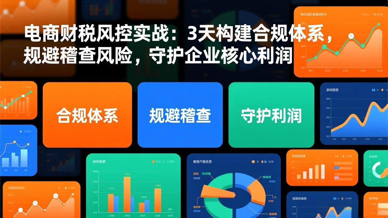 电商财税风控实战：3天构建合规体系，规避稽查风险，守护企业核心利润-吾爱云课堂