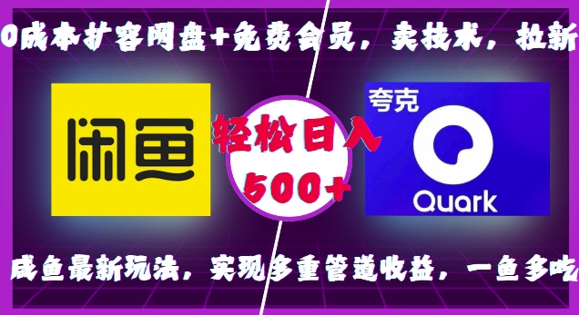 0成本扩容网盘+免费会员,卖技术,拉新,咸鱼最新玩法,实现多重管道收益,一鱼多吃,轻松日入500+-吾爱云课堂