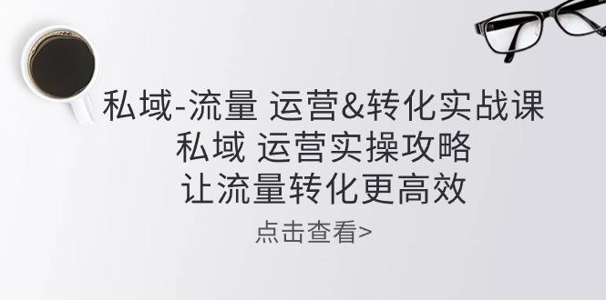 私域-流量 运营&转化实操课:私域 运营实操攻略 让流量转化更高效-吾爱云课堂