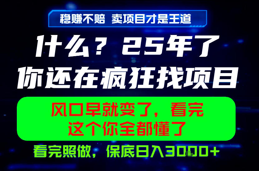 26年，请不要疯狂的找项目做了！卖项目才是真的稳賺不赔，看完照做，保底日入1k+【揭秘】-吾爱云课堂