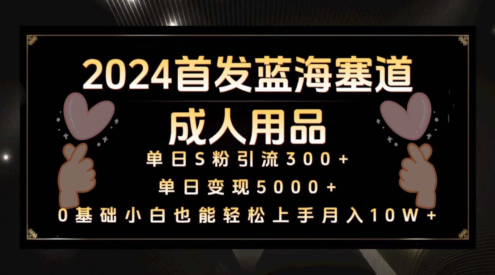 2024首发蓝海塞道成人用品,月入10W+保姆教程-吾爱云课堂