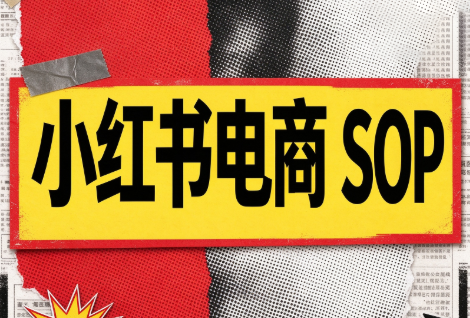 书豪必胜小红书电商sop(更新9月)-吾爱云课堂