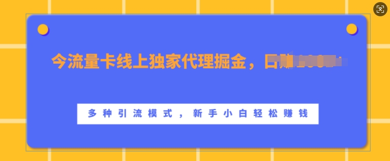 流量卡线上独家代理掘金,日入1k+ ,多种引流模式,新手小白轻松上手【揭秘】-吾爱云课堂