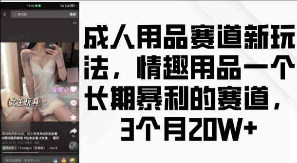 成人用品赛道新玩法，情趣用品一个长期暴利的赛道，3个月收益20个【揭秘】-吾爱云课堂