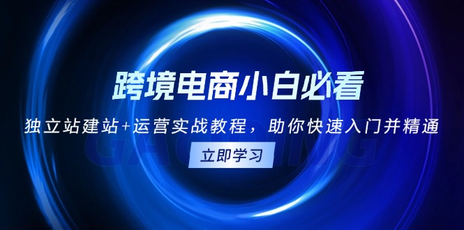 跨境电商小白必看!独立站建站+运营实战教程,助你快速入门并精通-吾爱云课堂