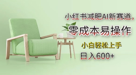 小红书减肥AI新赛道,零成本易操作,日入多张,小白轻松上手【揭秘】-吾爱云课堂