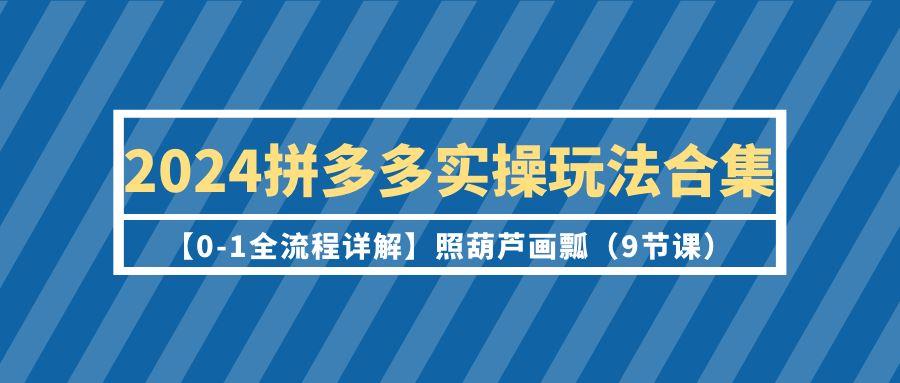 (9559期)2024拼多多实操玩法合集【0-1全流程详解】照葫芦画瓢(9节课)-吾爱云课堂
