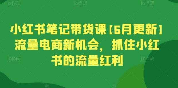 小红书笔记带货课【6月更新】流量电商新机会,抓住小红书的流量红利-吾爱云课堂