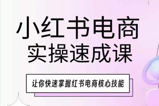 小红书电商实操速成课，让你快速掌握红书电商核心技能-吾爱云课堂