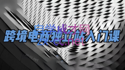 团长·跨境电商独立站入门课(2小时精华)-吾爱云课堂