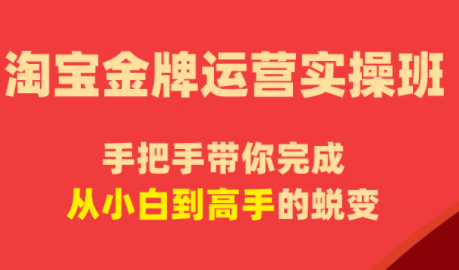 飓风电商·淘宝金牌运营实操班-吾爱云课堂