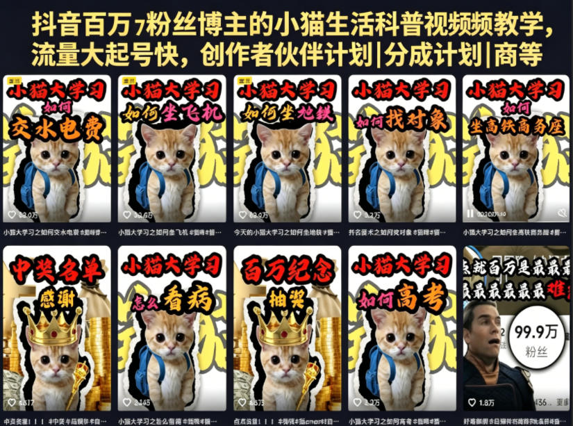 抖音百万粉丝博主的小猫生活科普视频教学，流量大起号快，创作者伙伴计划|分成计划|商单|收徒等-吾爱云课堂