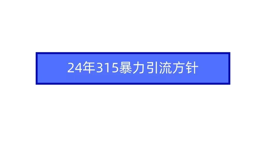 (9398期)2024年315暴力引流方针-吾爱云课堂