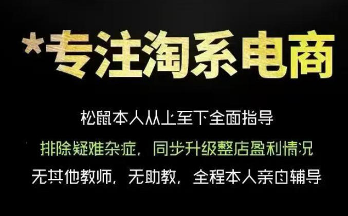 松鼠会电商VIP课程，从基础布局到高阶优化，助你掌握淘宝运营逻辑，提升店铺流量与转化(更新0809)-吾爱云课堂