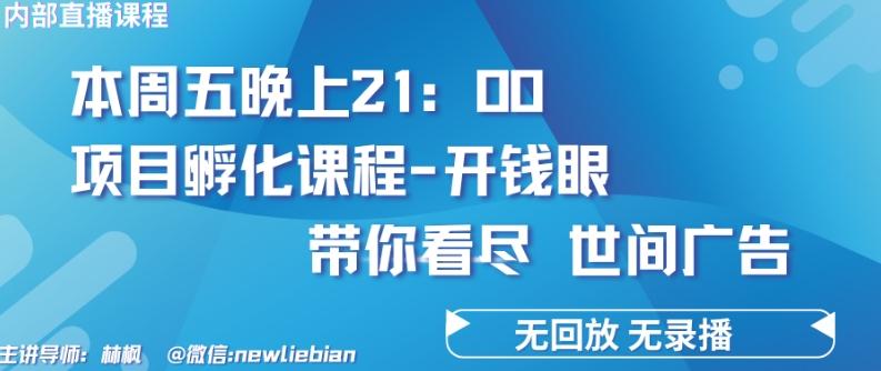 4.26日内部回放课程《项目孵化-开钱眼》赚钱的底层逻辑【揭秘】-吾爱云课堂