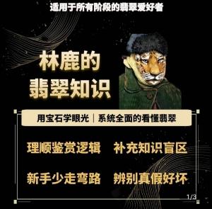 林鹿的翡翠知识,用宝石眼光,系统全面的看懂翡翠-吾爱云课堂