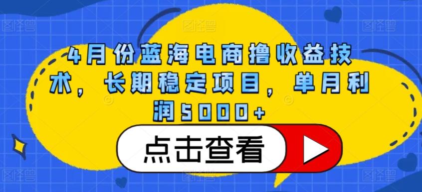 4月份蓝海电商撸收益技术,长期稳定项目,单月利润5000+【揭秘】-吾爱云课堂