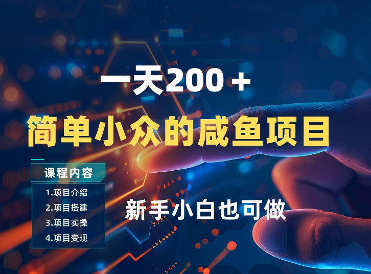 一天收入2张，一个简单小众的咸鱼项目，0门槛小白也能做-吾爱云课堂