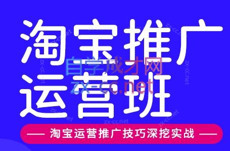 美迪电商·淘宝高级运营班+推广运营班(更新9月)-吾爱云课堂