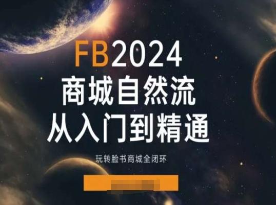 2024Faceboo商城自然流(从入门到精通),玩转脸书商城全闭环-吾爱云课堂