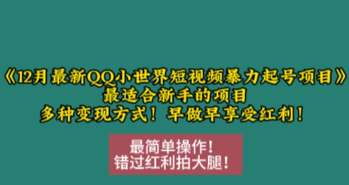 12月最新QQ小世界短视频暴力起号项目,最适合新手的项目,多种变现方式-吾爱云课堂