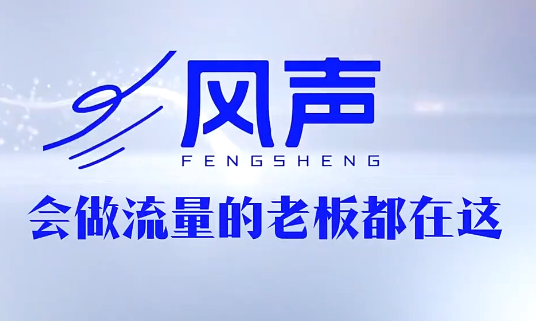 董十一·风声短视频AI获客年度会员-吾爱云课堂