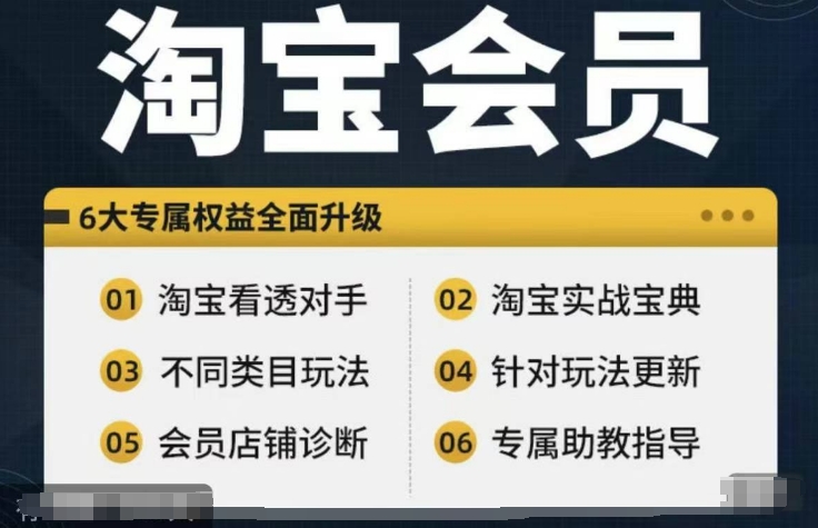 淘宝会员【淘宝所有课程,全面分析对手】,初级到高手全系实战宝典-吾爱云课堂