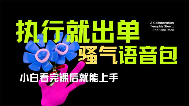 爆火全网的开车导航骚气语音包,只要执行就出单,小白看完课程就能实操...-吾爱云课堂