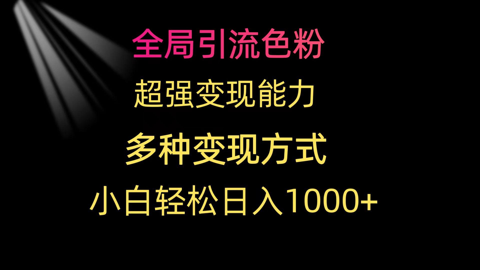(9680期)全局引流色粉 超强变现能力 多种变现方式 小白轻松日入1000+-吾爱云课堂