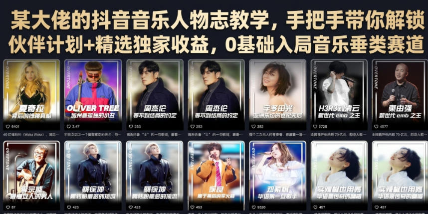 某大佬的抖音音乐人物志教学，手把手带你解锁伙伴计划+精选独家收益，0基础入局音乐垂类赛道-吾爱云课堂