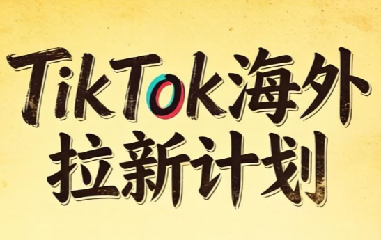 Tc联盟·TikTok海外拉新项目(更新9月)-吾爱云课堂