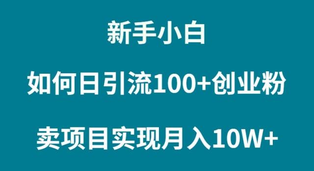 (9556期)新手小白如何通过卖项目实现月入10W+-吾爱云课堂