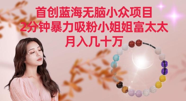 首创蓝海无脑小众项目,2分钟暴力吸粉小姐姐富太太,月入几十万【揭秘】-吾爱云课堂