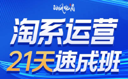 白凤电商·淘系运营21天速成班(更新8月)-吾爱云课堂