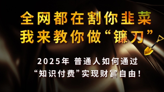 全网都在割你韭菜,我来教你做镰刀,2025普通人如何通过知识付费,实现财F自由【揭秘】-吾爱云课堂